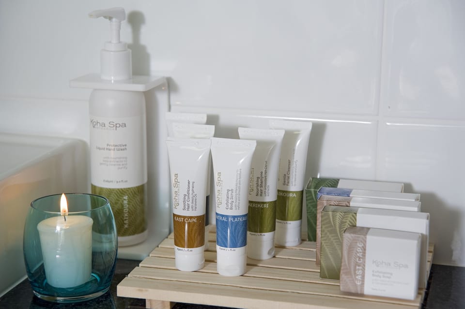 Premium Studio -  Shower | Bathroom amenities | Free toiletries, hair dryer, towels, soap