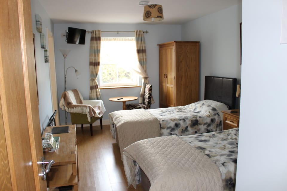 Desk, iron/ironing board (on request), WiFi (free)