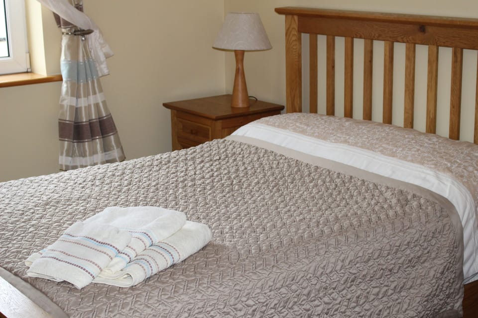 Double Single Ensuite | Desk, iron/ironing board (on request), WiFi (free)