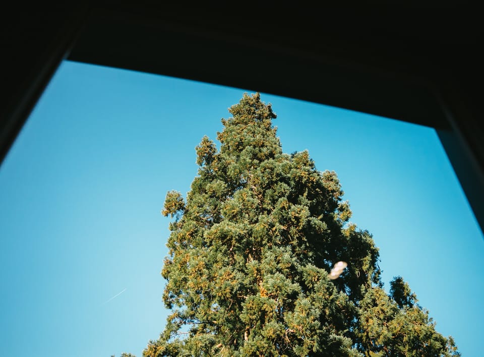 View from property