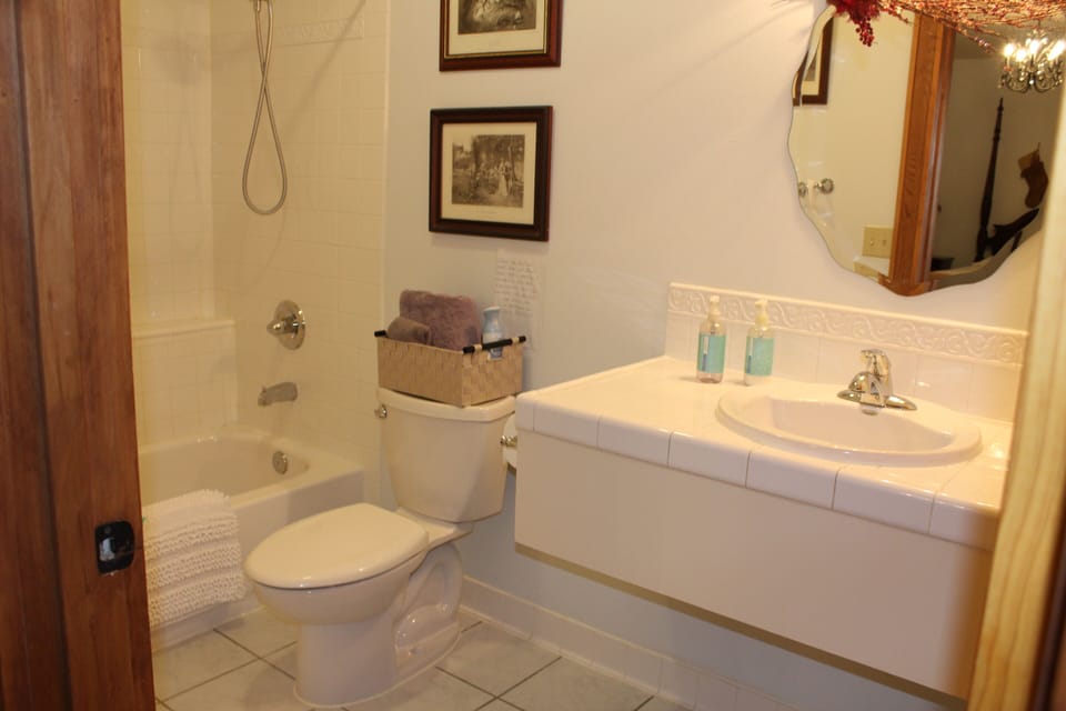 Deluxe Room, 1 Queen Bed, Private Bathroom (Deluxe Room) | Bathroom shower