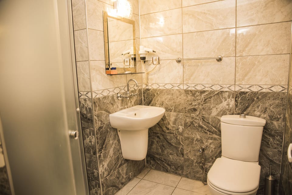 Shower, free toiletries, hair dryer, slippers