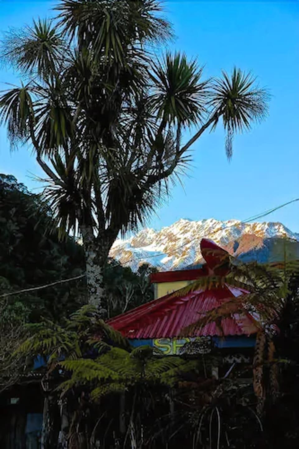 View from property