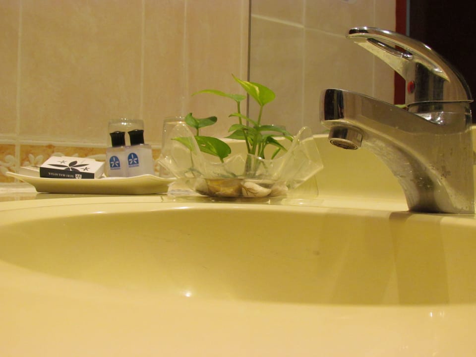 Family Room | Bathroom sink