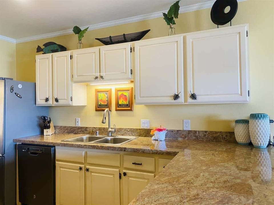 Granite Countertops and Black Appliances 