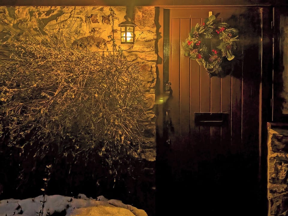 Christmas | Holgates, Churchinford, near Taunton