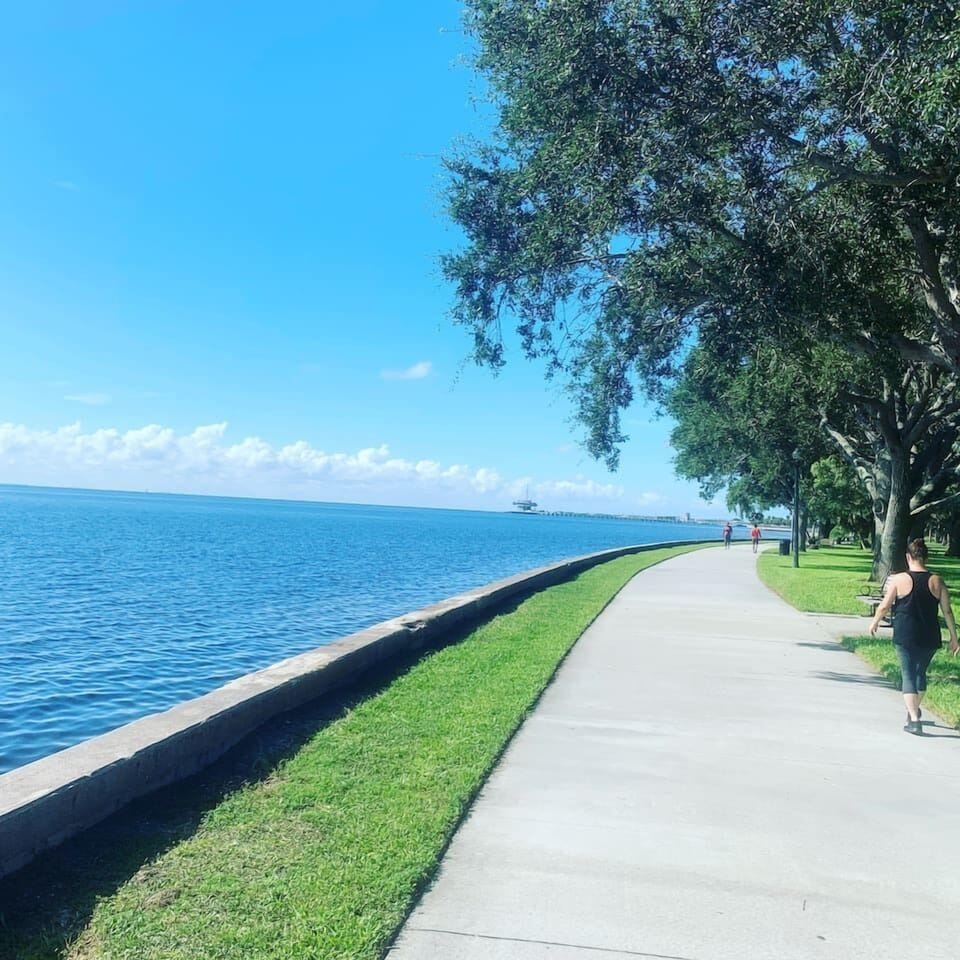 The north bay trail 6 miles of waterfront trail in downtown st Pete