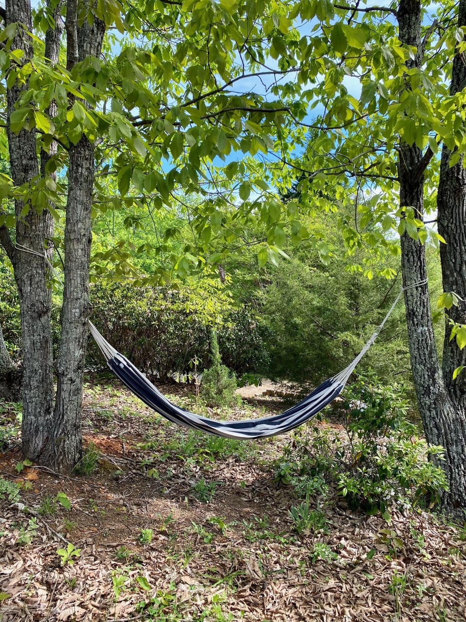 hammock along the left side of the cabin