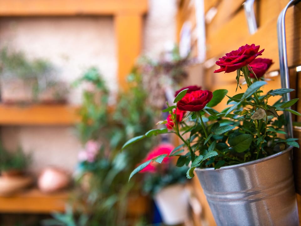 Villa | Balcony