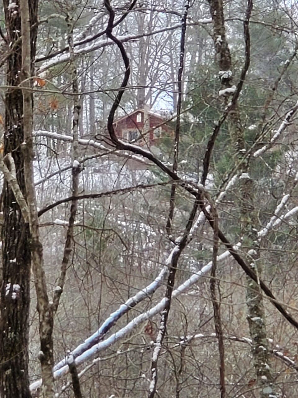 Nestled in the woods after a lite snow