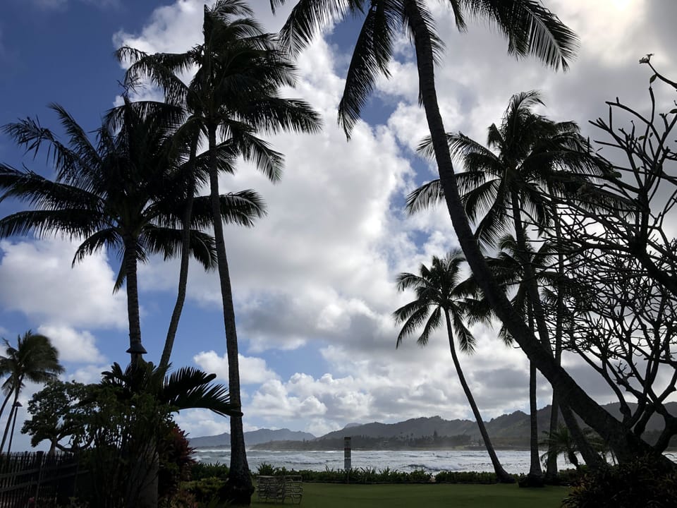 Ocean Views