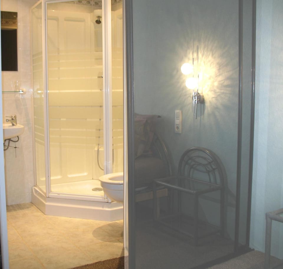 Shower, free toiletries, hair dryer, towels