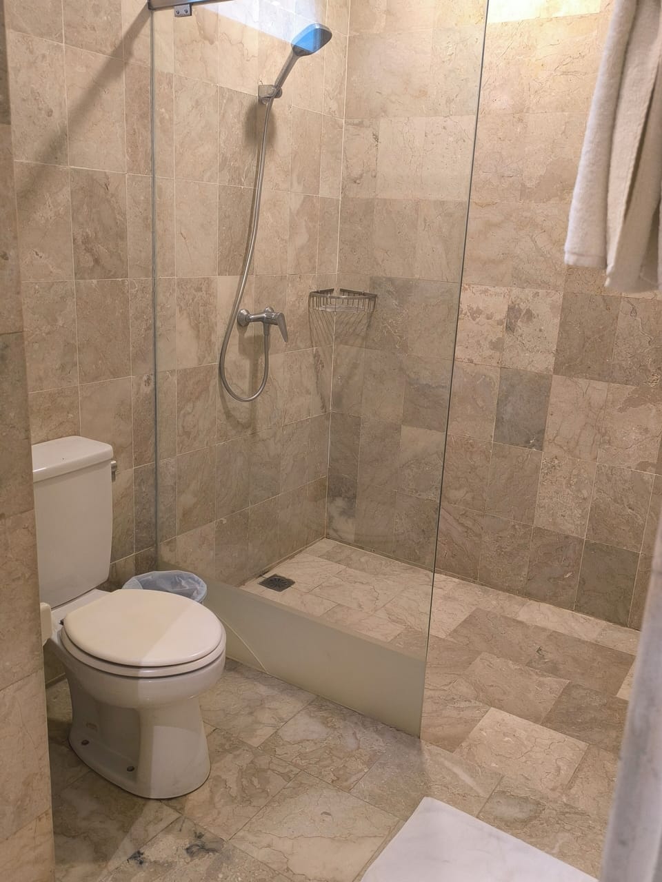 Deluxe Room | Bathroom | Shower, hydromassage showerhead, free toiletries, towels