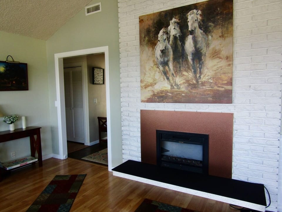 Cozy Electric fireplace