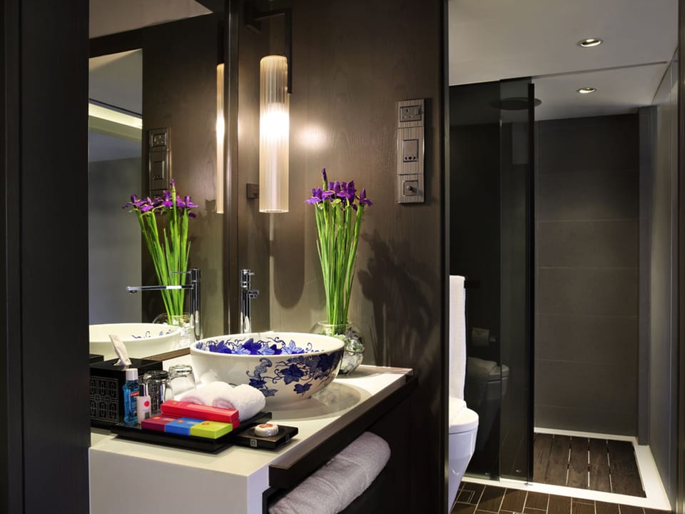 Deluxe Room | Bathroom | Shower, rainfall showerhead, free toiletries, hair dryer