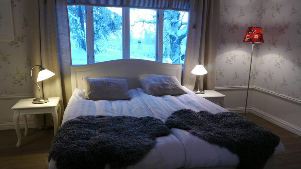 Double Room, Annex Building | Desk, laptop workspace, blackout drapes, WiFi (free)