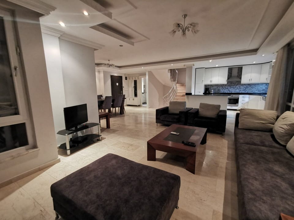 Your large modern open plan livingroom