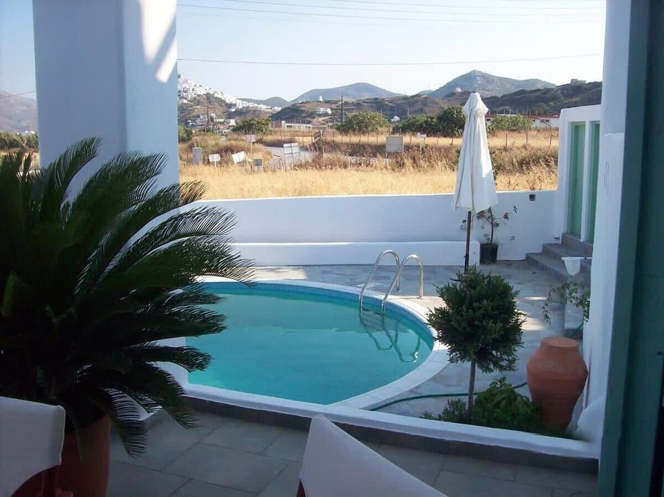 Pool Area – Compact and Refreshing Spot
Exterior pool - view from the room with palm greenery nearby.
