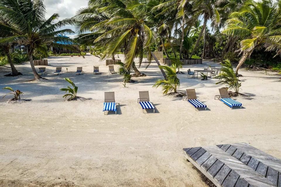 Step through the palms and indulge in the  relaxation of the Caribbean!