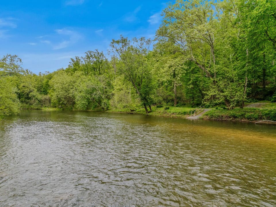 The view from the center of the River!
