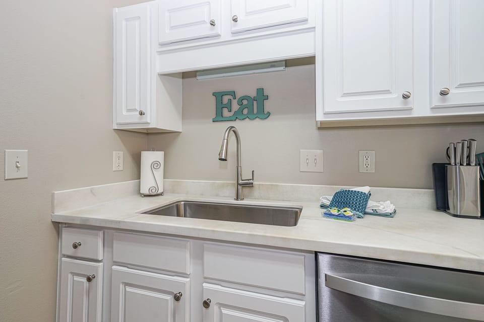 Large Sink and Dishwasher