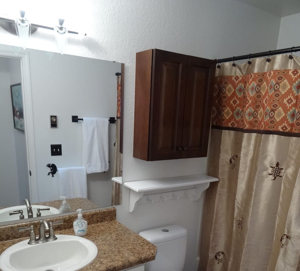 Front Bathroom - Shower, full tub, and updated vanity
