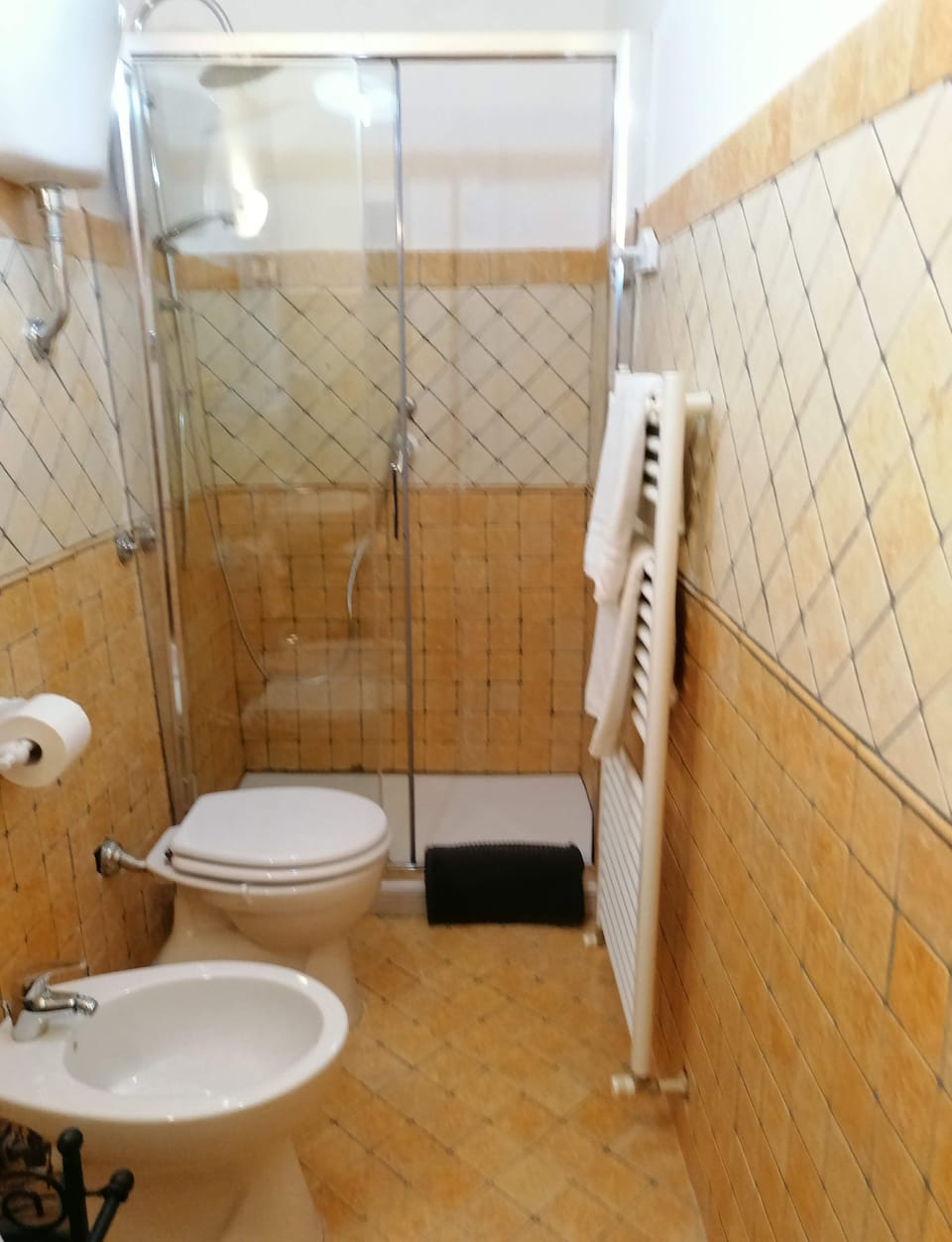 Exclusive Apartment | Bathroom | Shower, rainfall showerhead, hair dryer, bidet