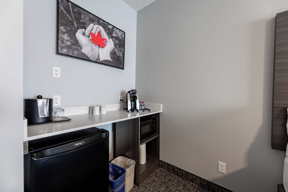 Family Kitchenette Suite | Coffee and/or coffee maker