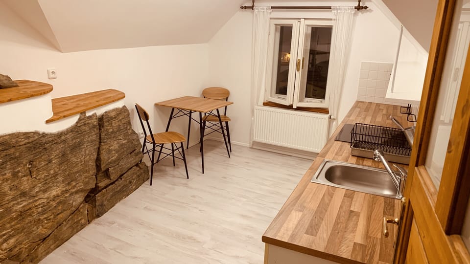 Classic Studio Suite, 1 King Bed, Kitchenette, City View | Private kitchen