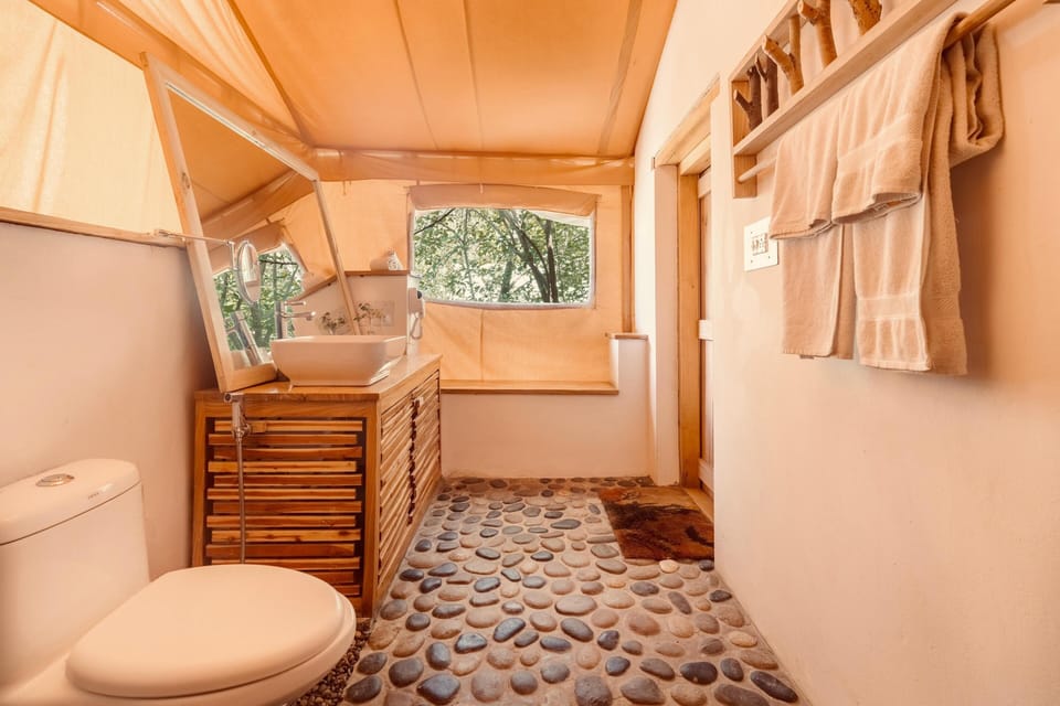 Premier Room | Bathroom | Shower, designer toiletries, hair dryer, bathrobes