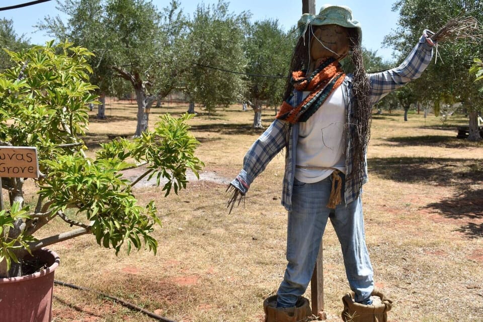 Cottage | Property grounds