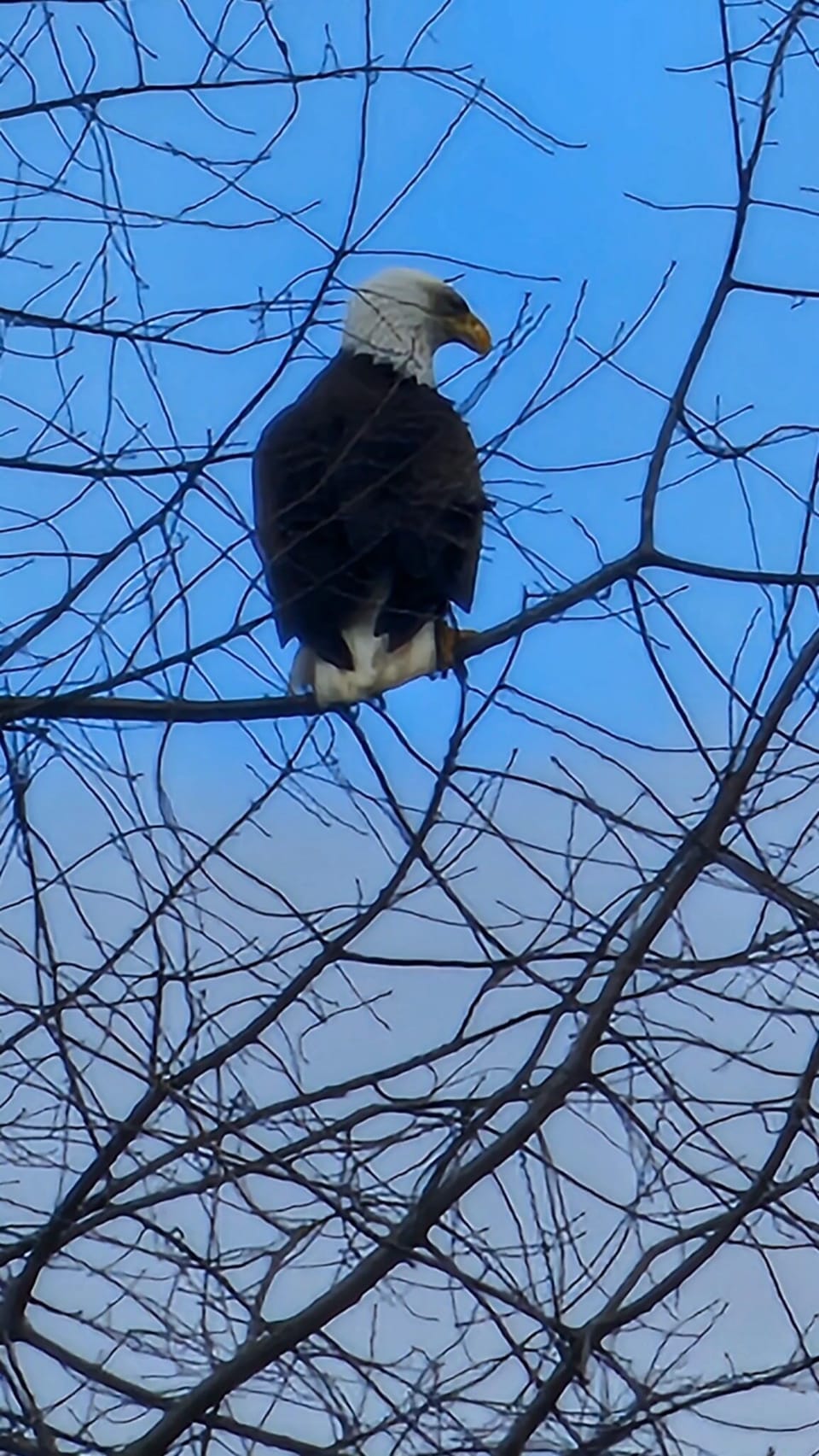 zoomed in