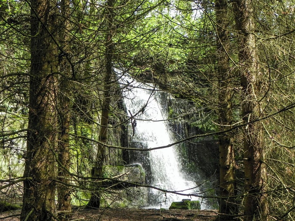 Surrounding area | Brookfields, Harmby, near Leyburn