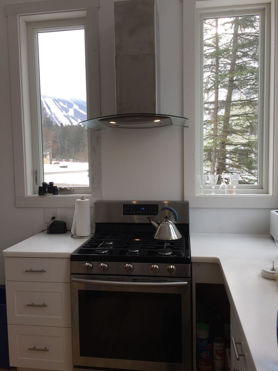 Stove with a view