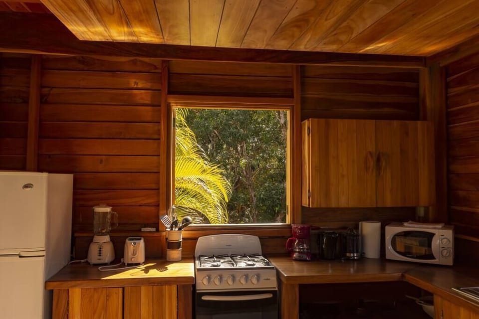 The spacious kitchen illuminated by a large window framing the lush jungle