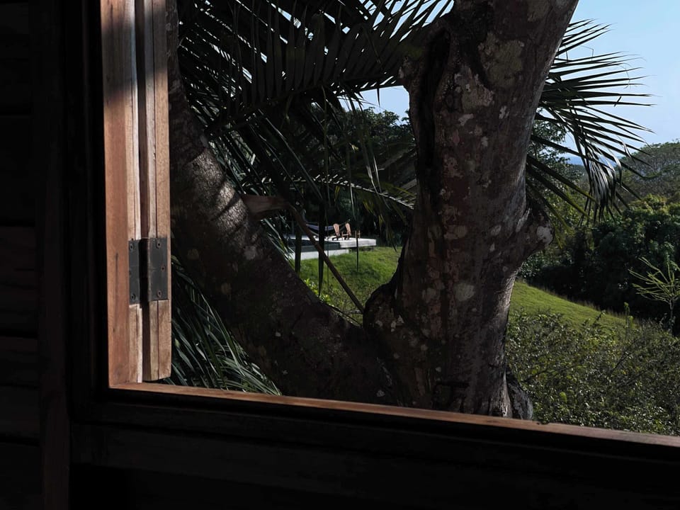 Every angle of Villa Zen offers pure bliss (the pool can be seen from the master through the trees)