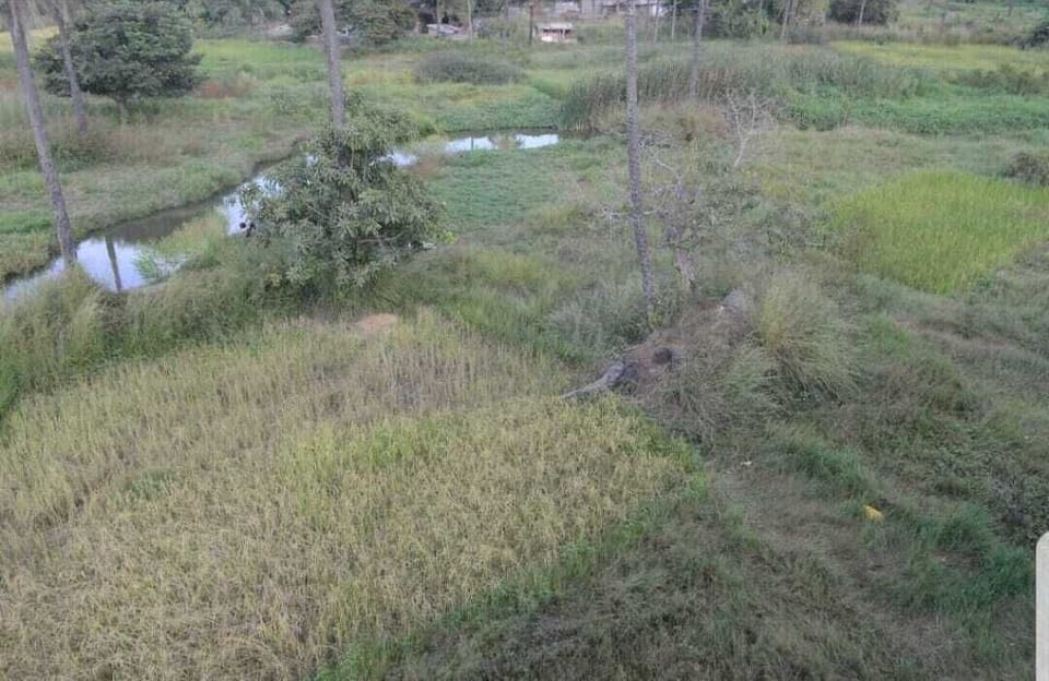 Property grounds