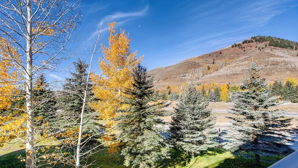A stunning mountain landscape adorned with golden aspens and evergreens, showcasing the property's spectacular natural surroundings and seasonal beauty.