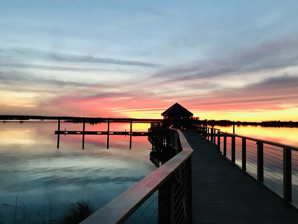 Lynn Theismann Photography @carolinabeachphotographer
