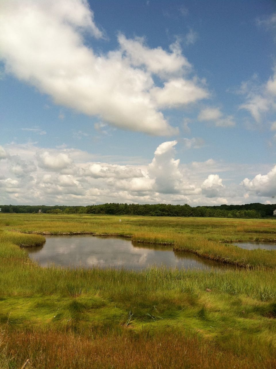 From our front yard, waterfront to tidal marshes