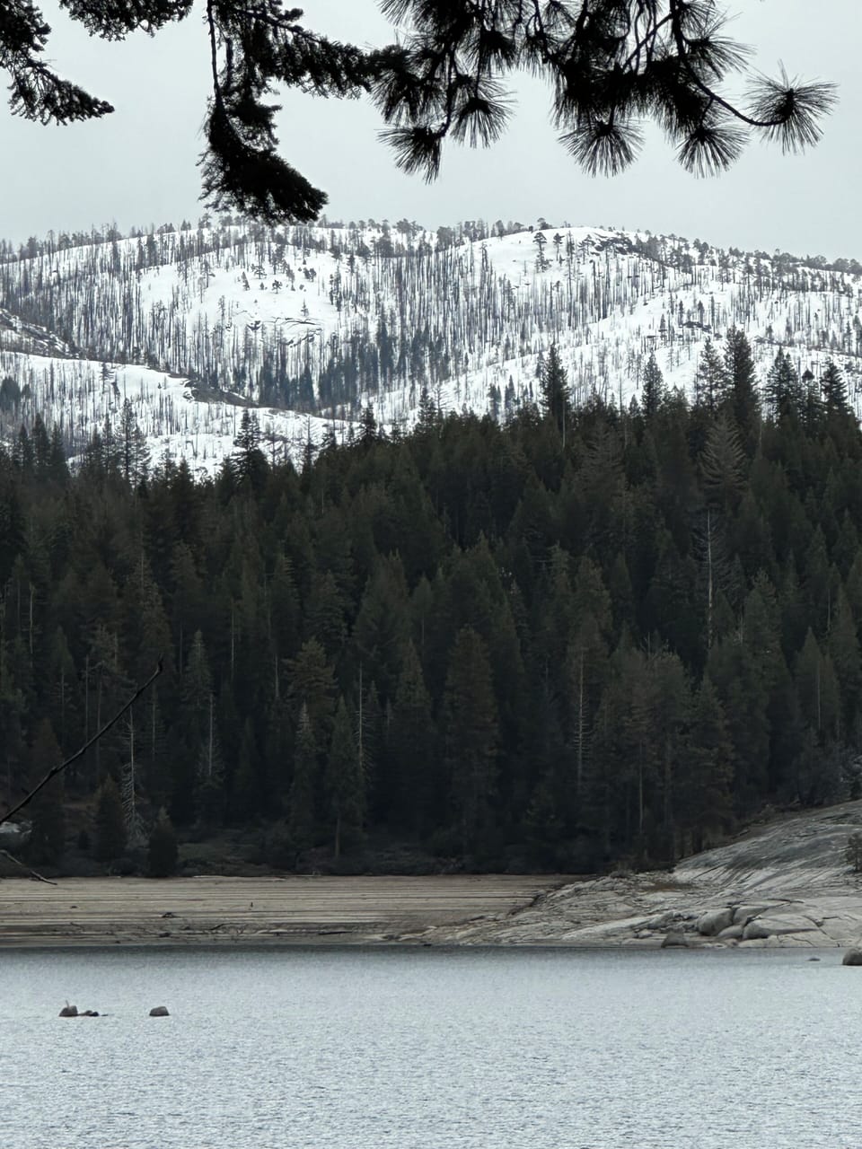 Shaver Lake a 7 Minute Drive