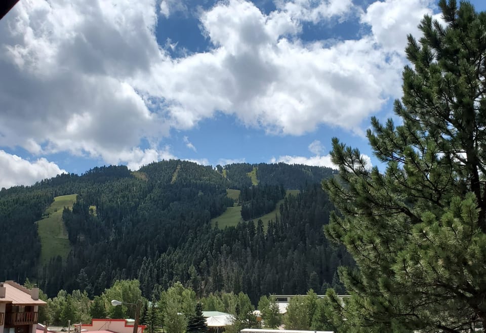Forested mountain slopes rise above the property, offering a dramatic natural backdrop in a peaceful alpine setting.