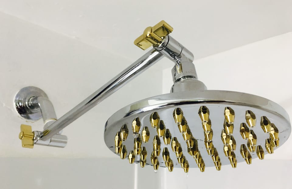 Amazing shower head 