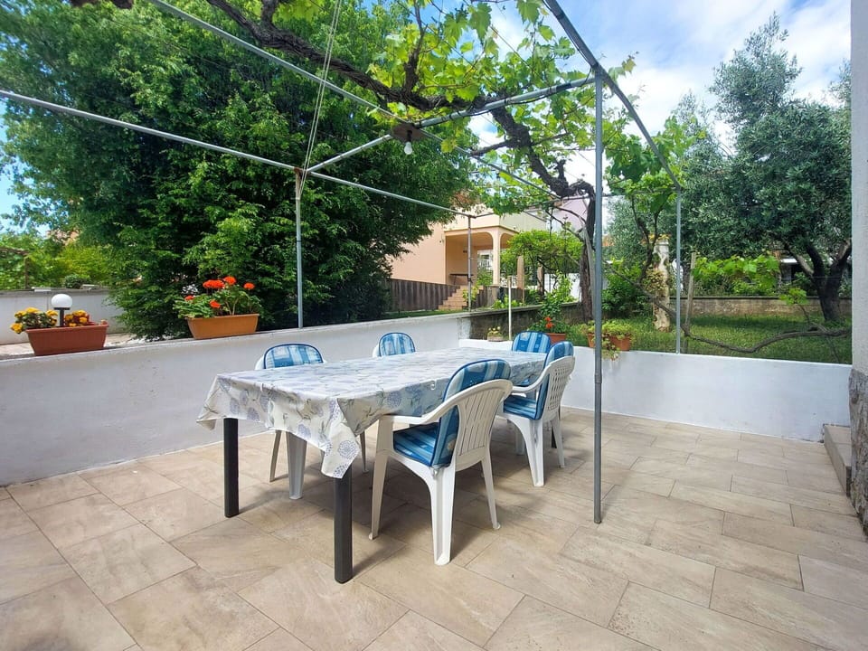 Shade, Outdoor Furniture, Flagstone, Garden, Chair, Flowerpot, Outdoor Structure, Tile, Houseplant, Backyard
