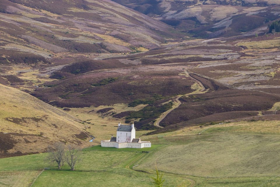 Cottage | Aerial view