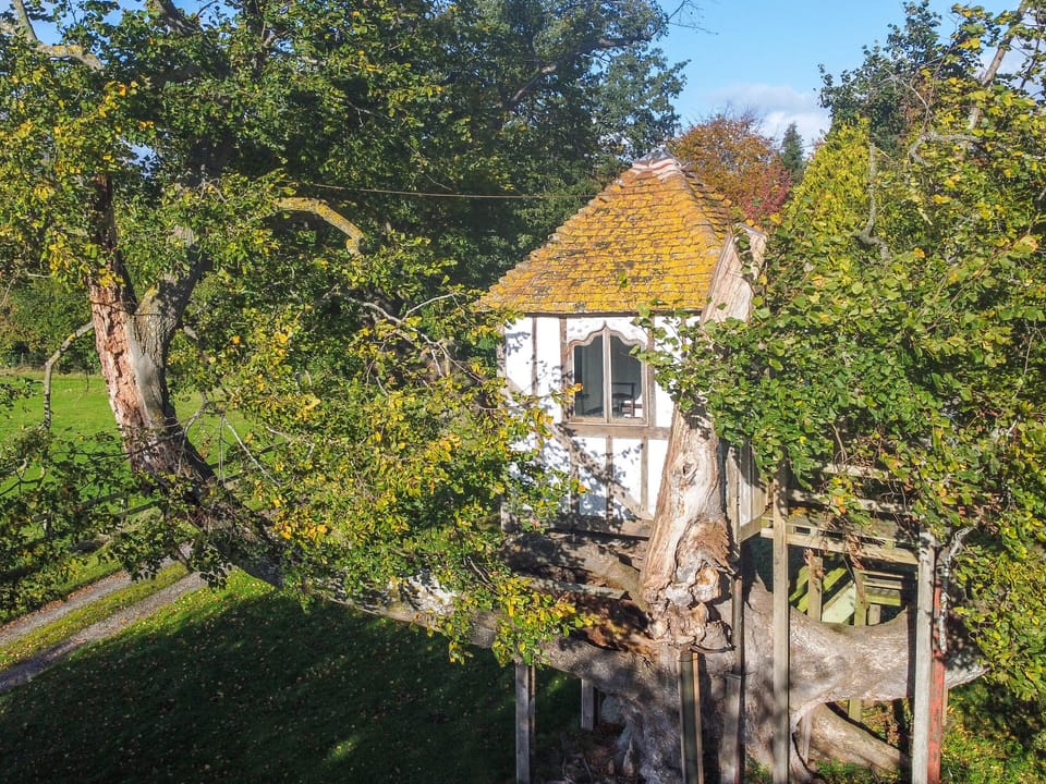 Cottage | Miscellaneous