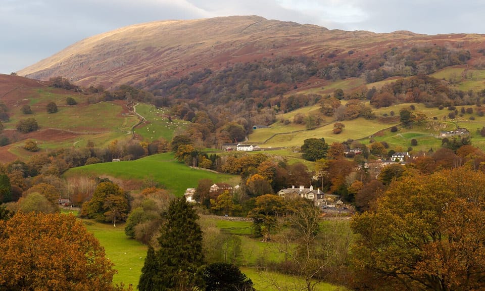 Cottage | Property grounds