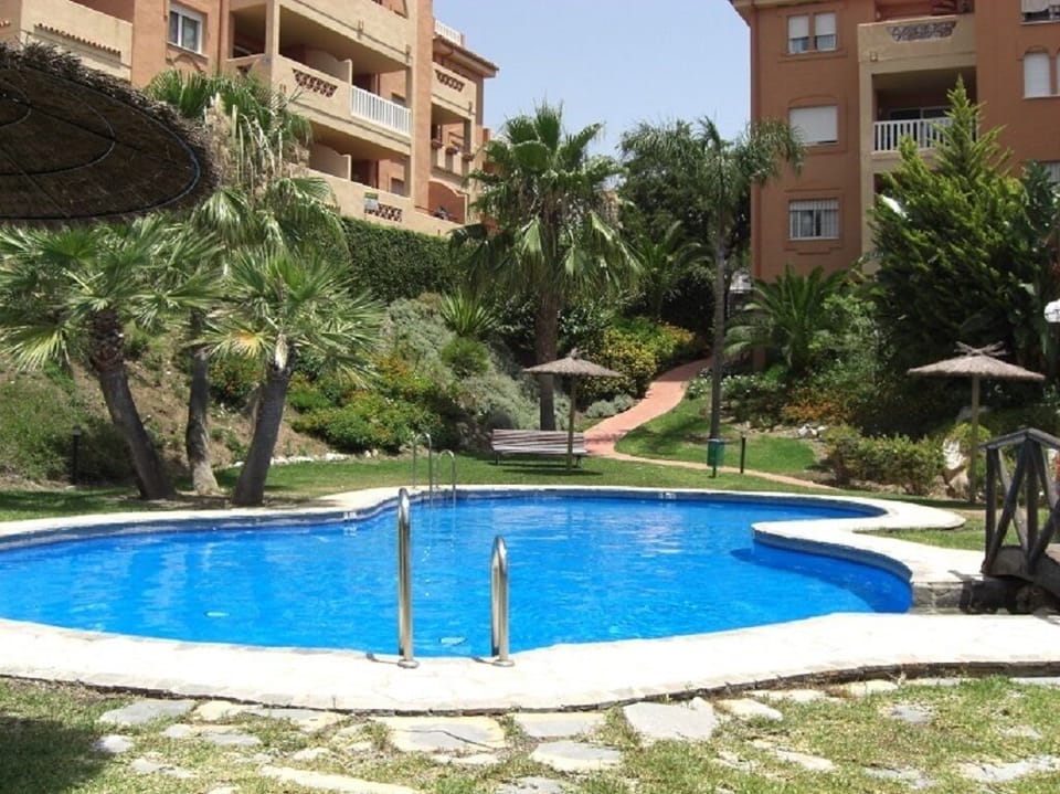 Top Pool