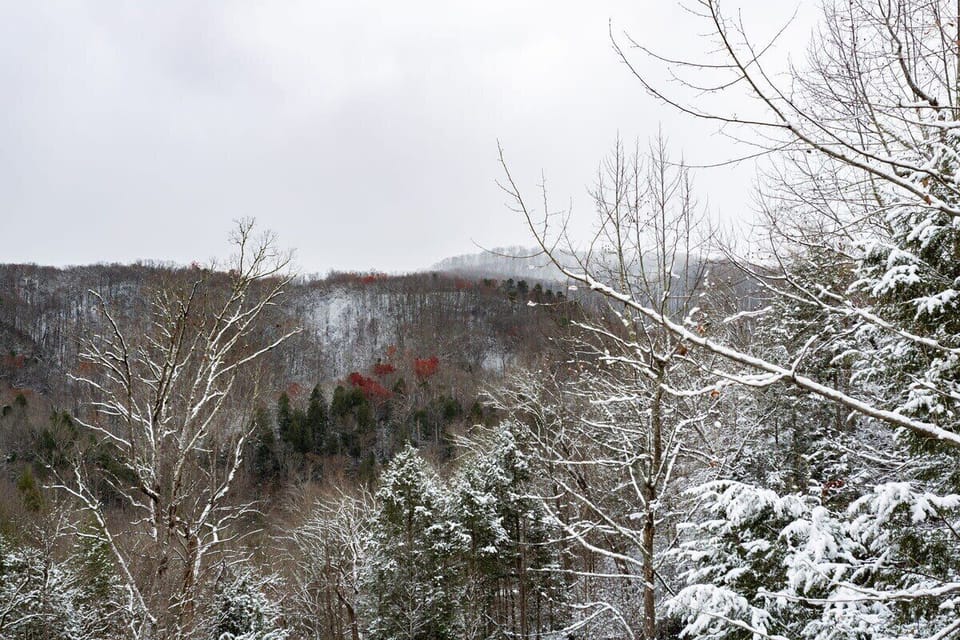 Winter Deck Views!