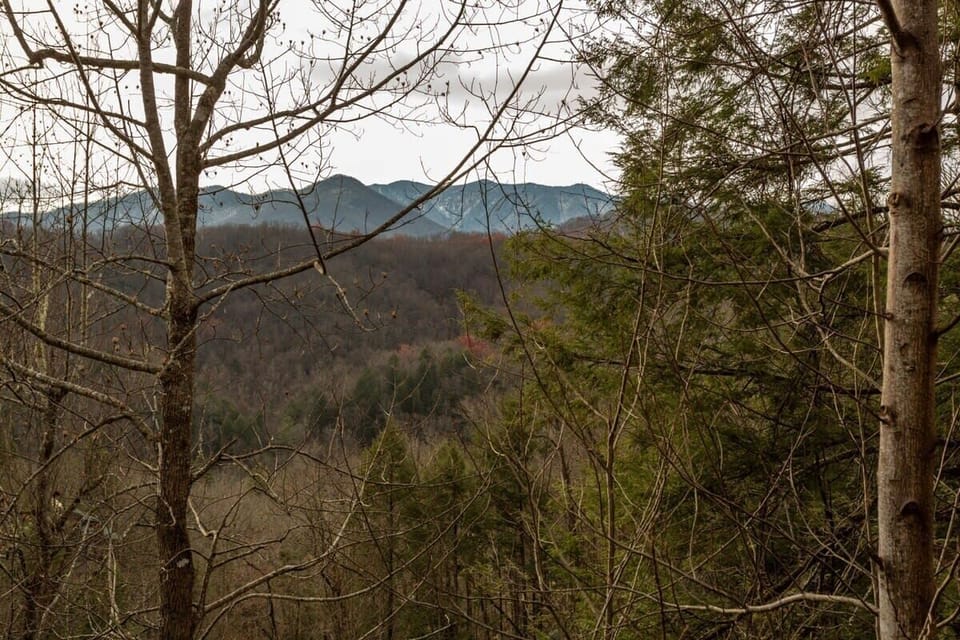 Hello Beautiful Views!